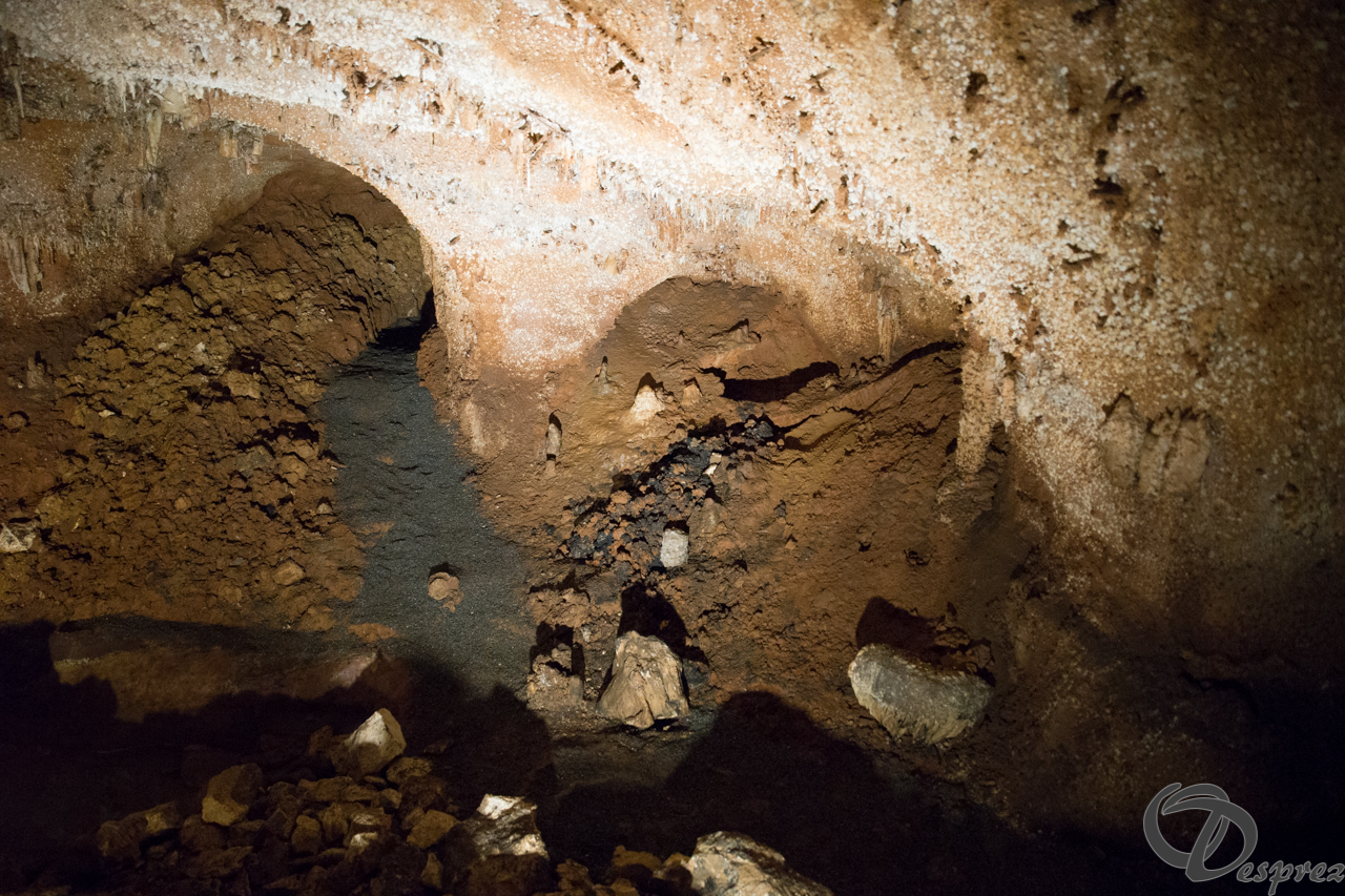 2021-août-12-DSC08996