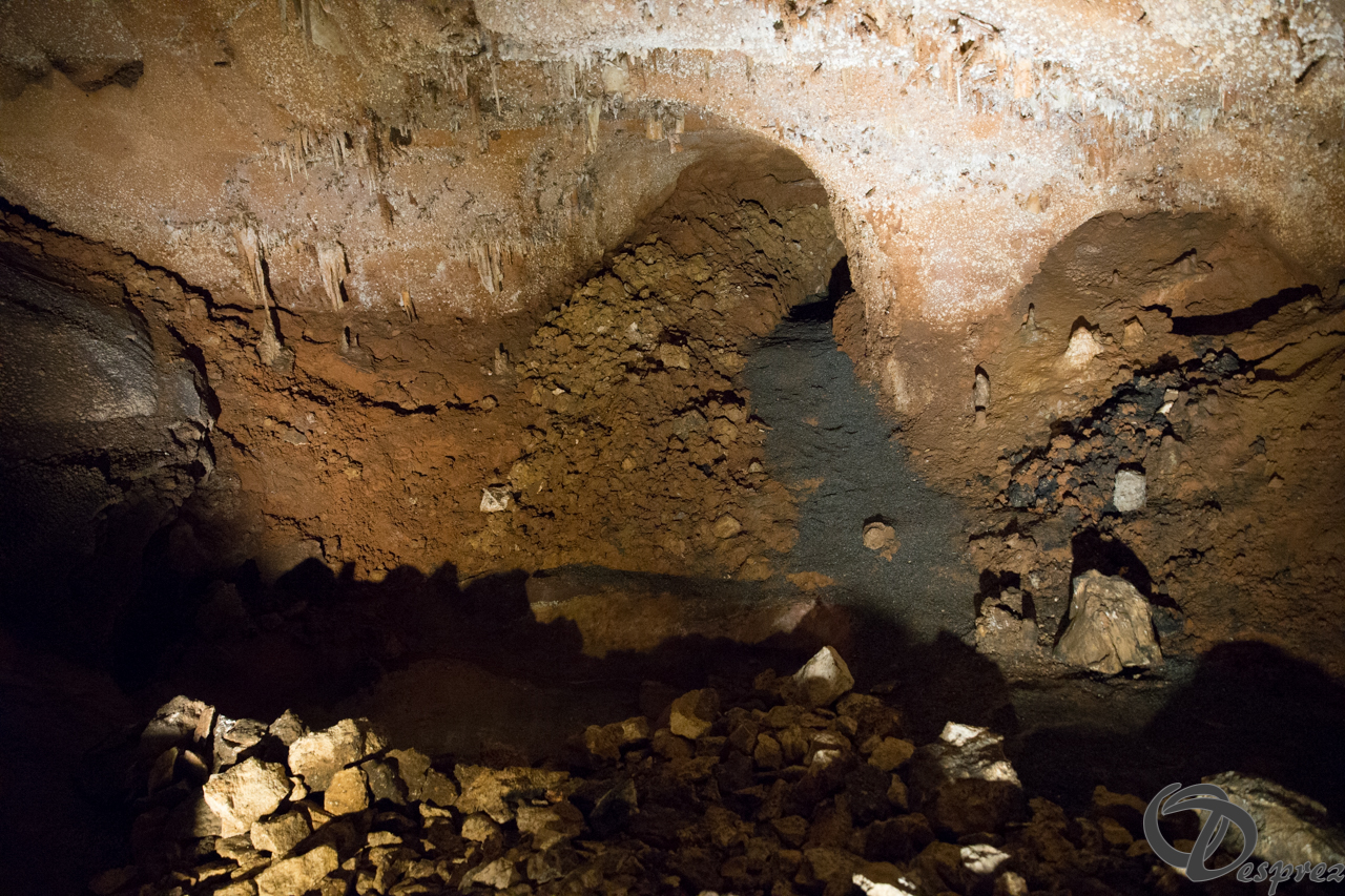 2021-août-12-DSC08997