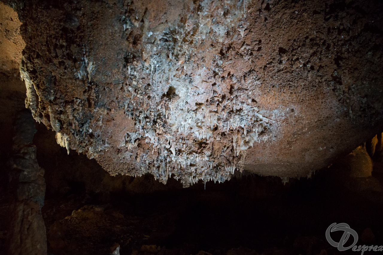 2021-août-12-DSC08998