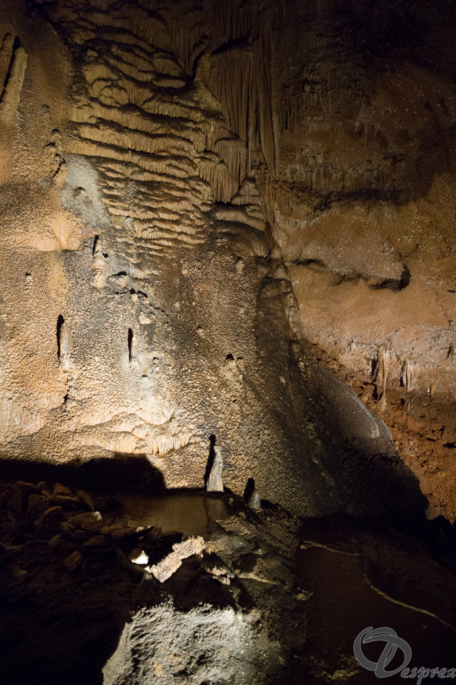 2021-août-12-DSC08999