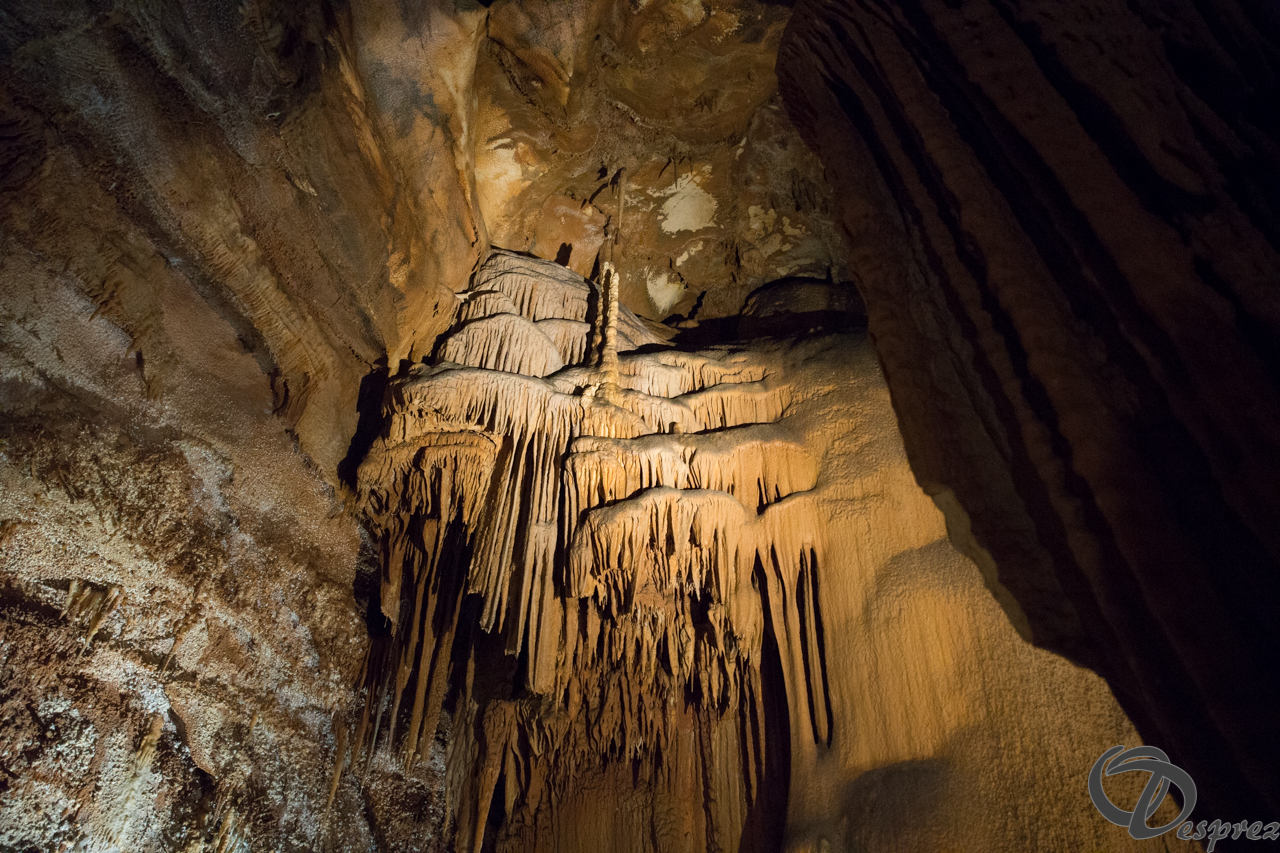 2021-août-12-DSC09000