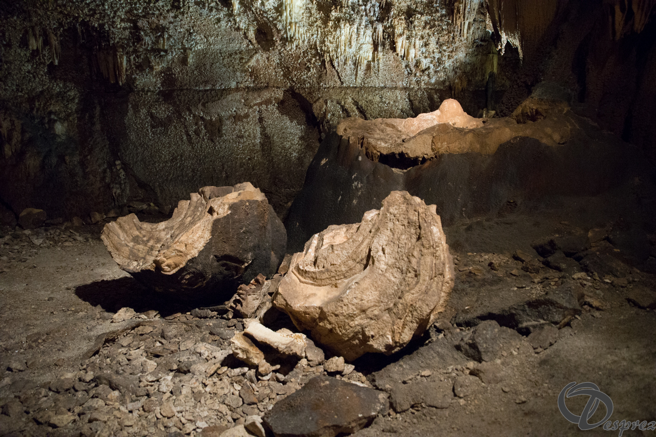 2021-août-12-DSC09001