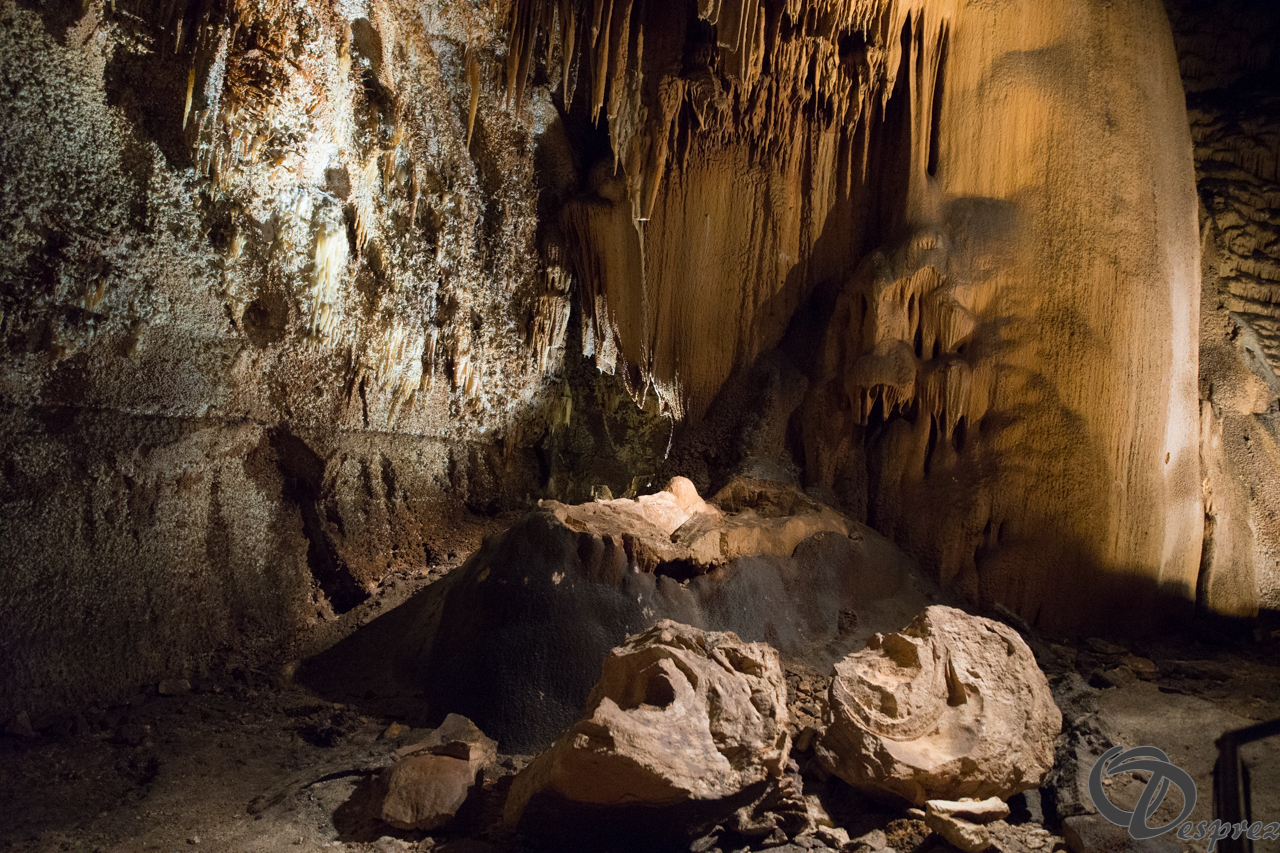 2021-août-12-DSC09002