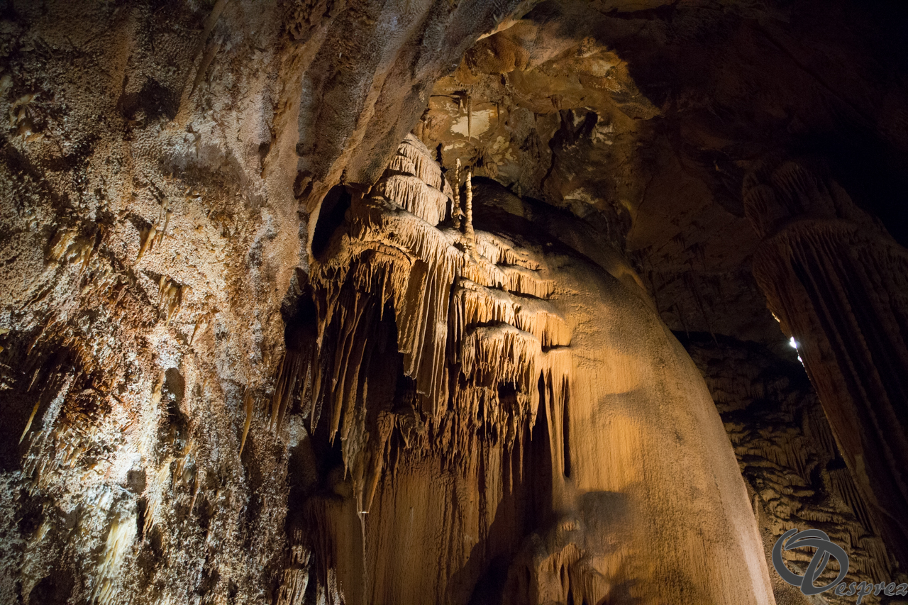 2021-août-12-DSC09003