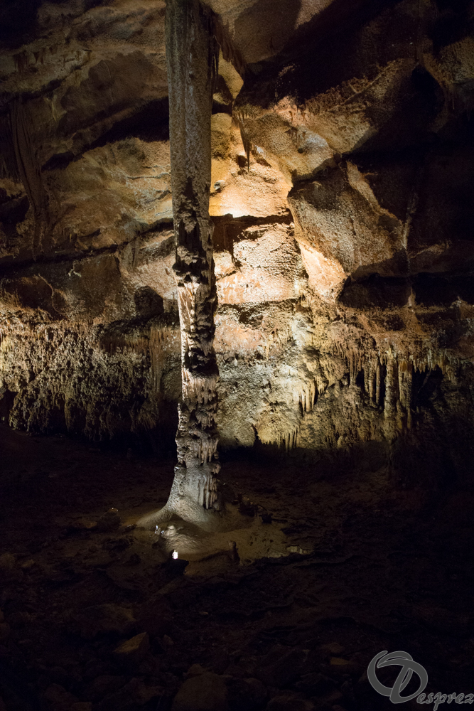 2021-août-12-DSC09004