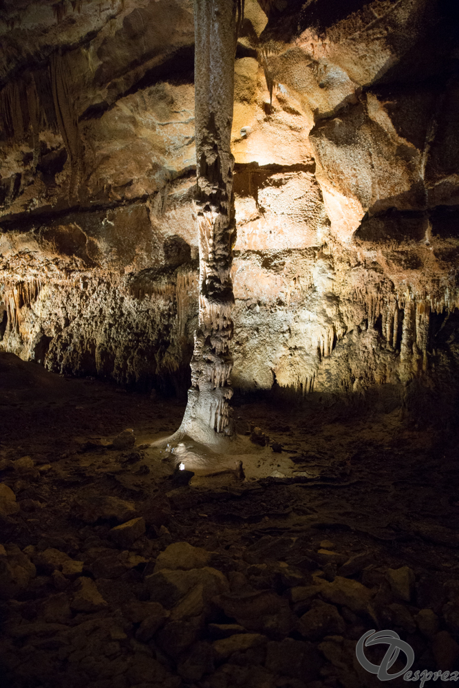 2021-août-12-DSC09005