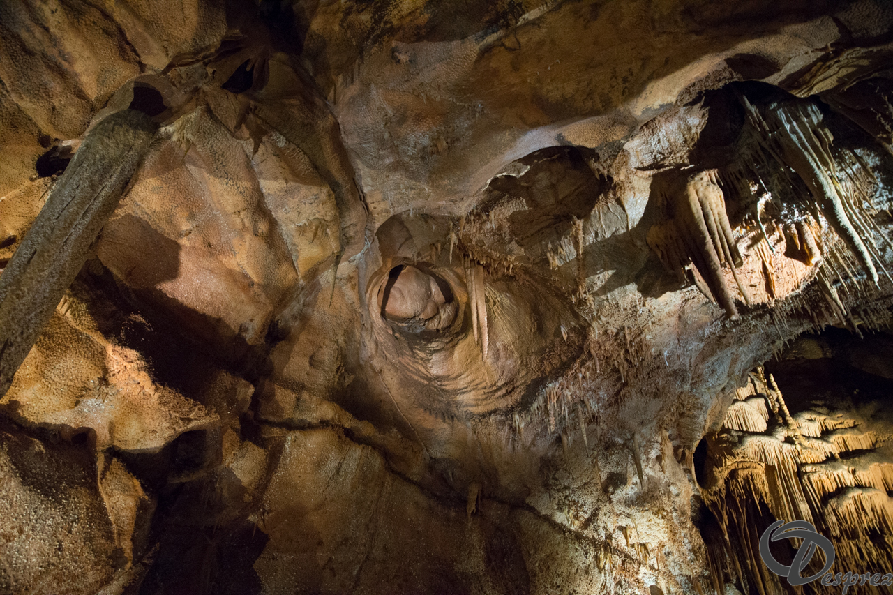 2021-août-12-DSC09006(2)