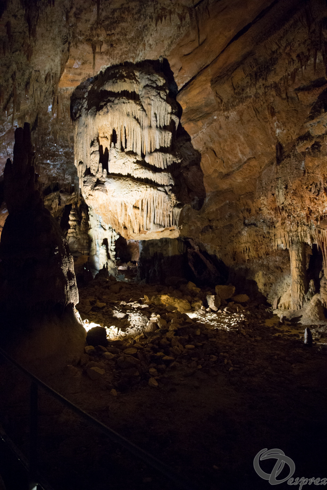 2021-août-12-DSC09007