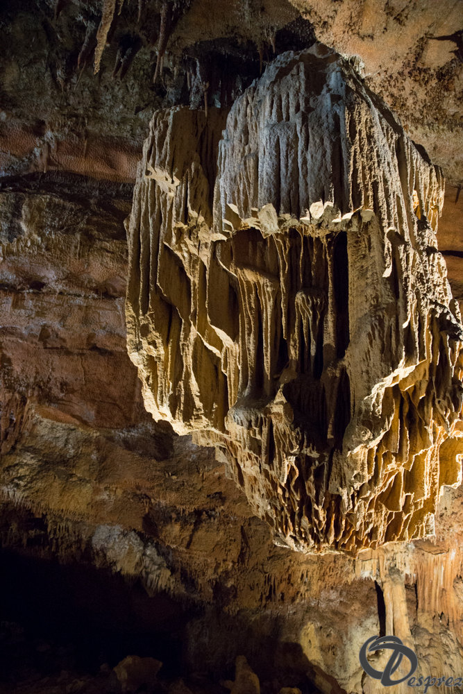 2021-août-12-DSC09008