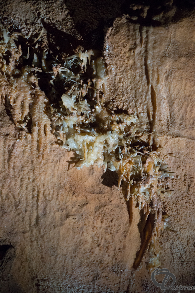 2021-août-12-DSC09009