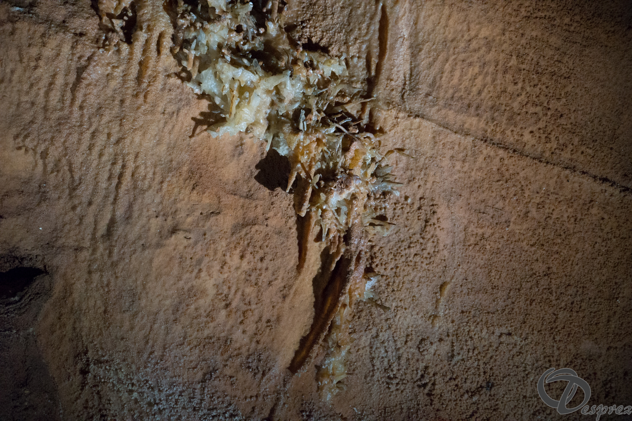 2021-août-12-DSC09010