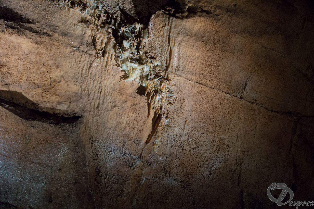 2021-août-12-DSC09011