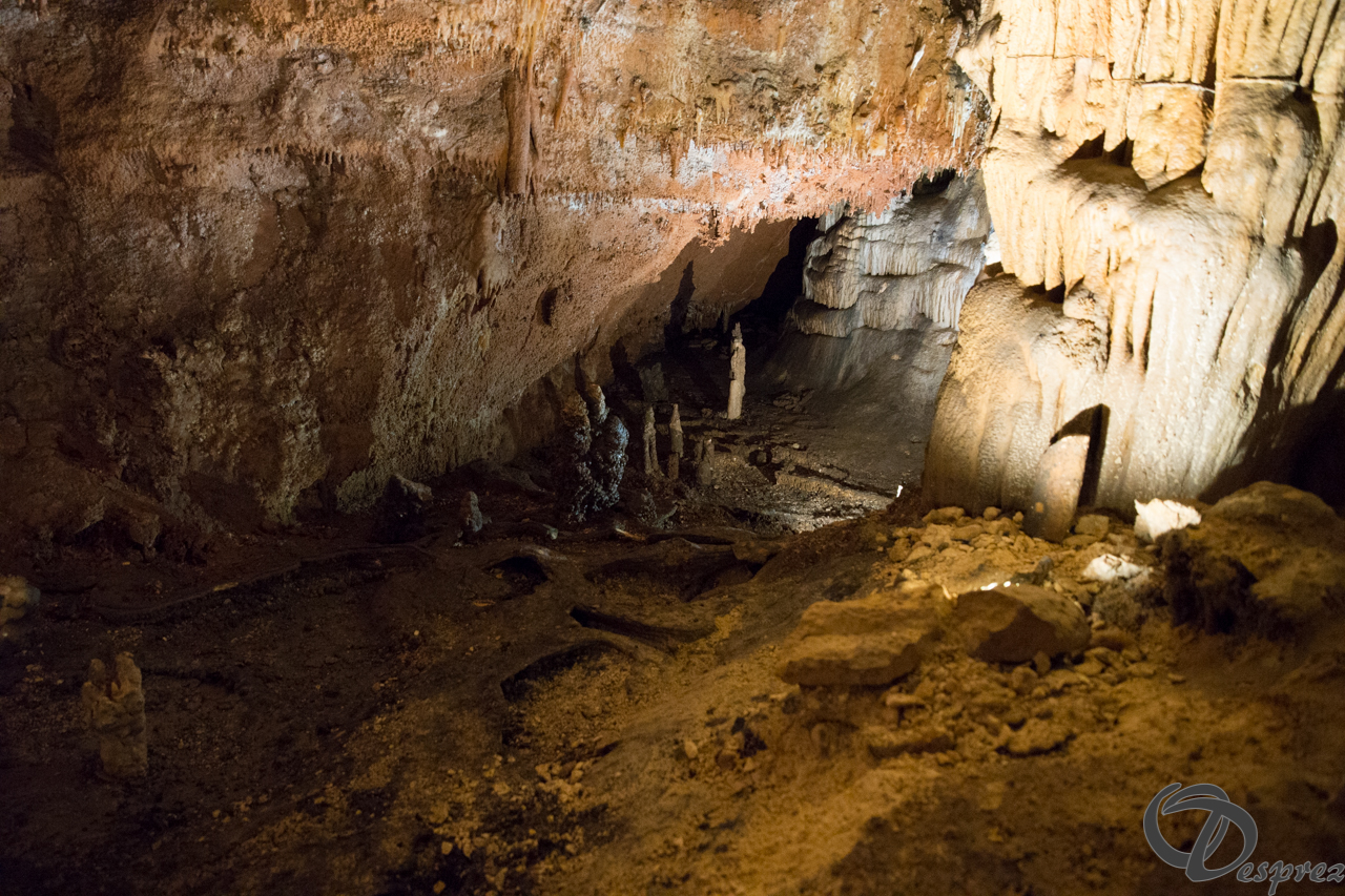 2021-août-12-DSC09012