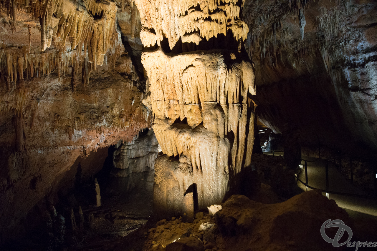 2021-août-12-DSC09013