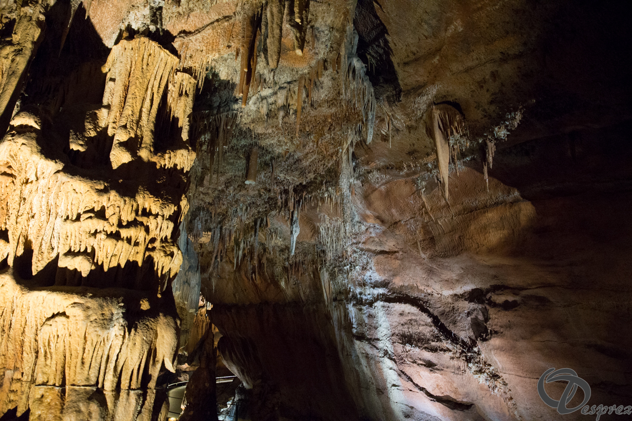 2021-août-12-DSC09014