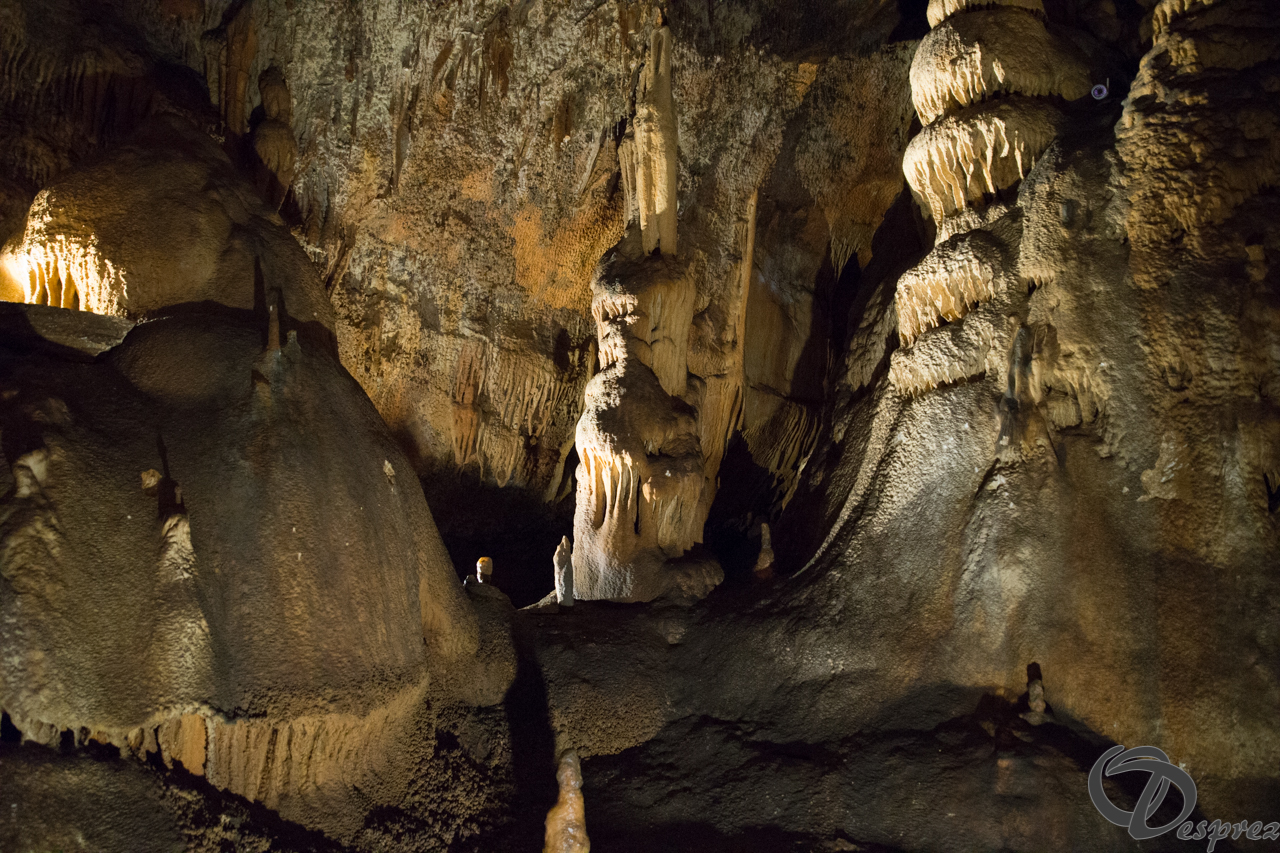 2021-août-12-DSC09015