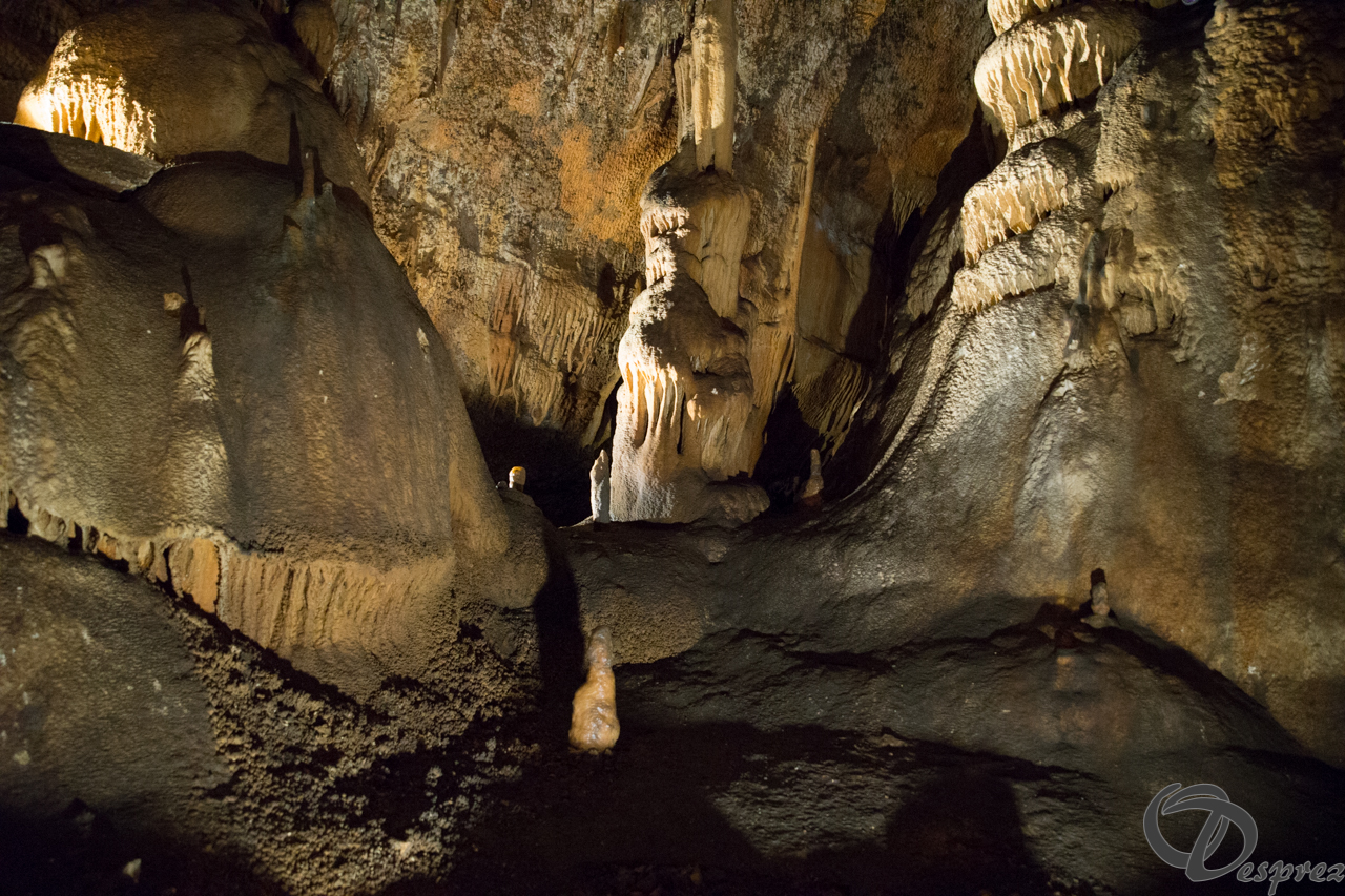 2021-août-12-DSC09016