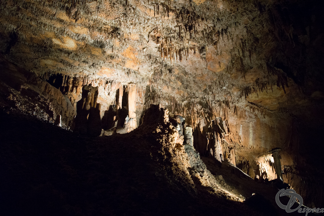 2021-août-12-DSC09017