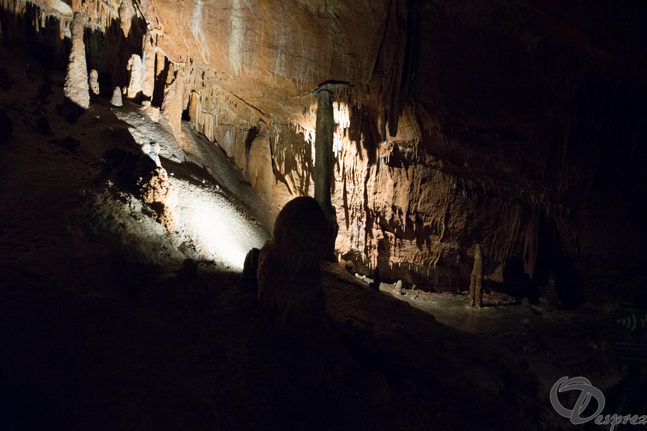 2021-août-12-DSC09018