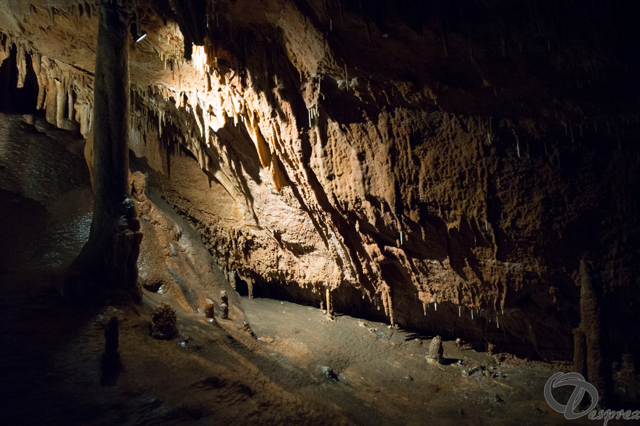 2021-août-12-DSC09019