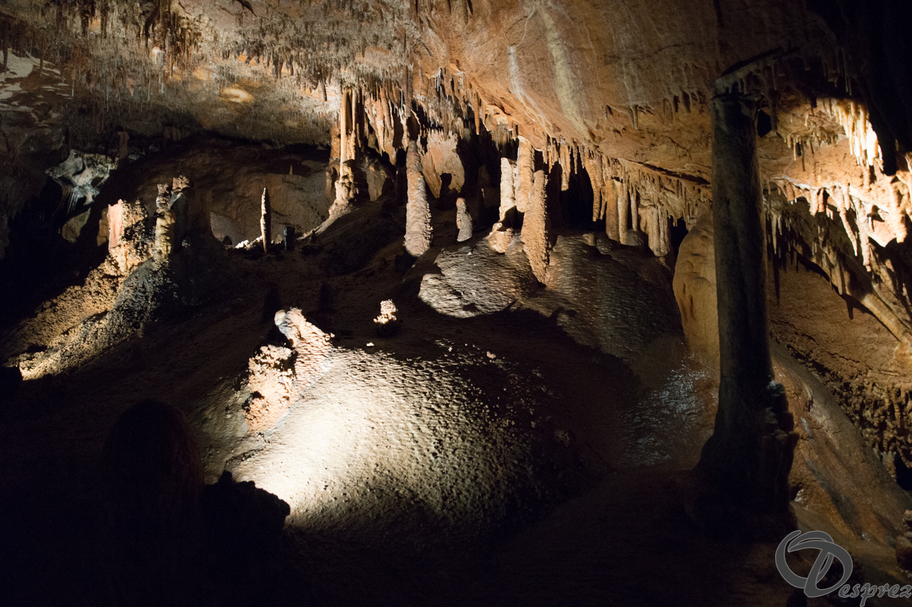 2021-août-12-DSC09020