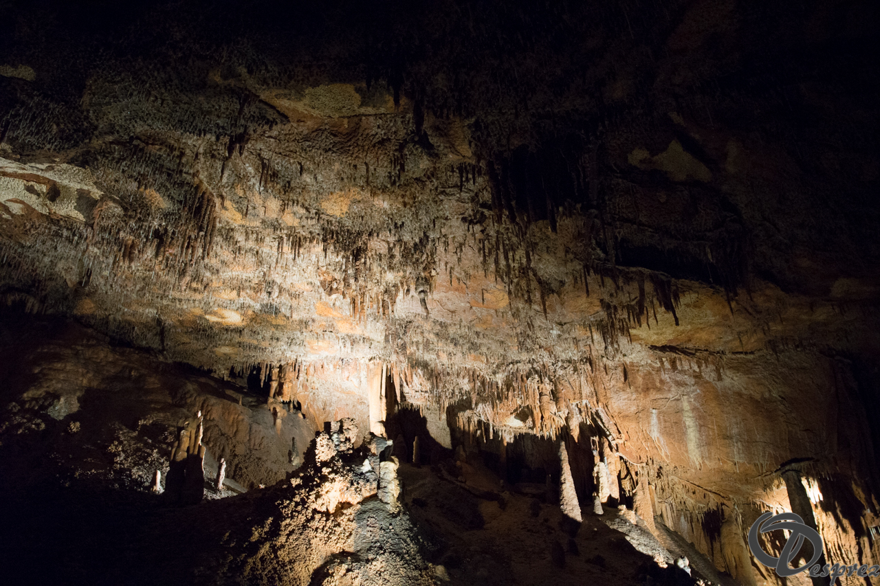 2021-août-12-DSC09021