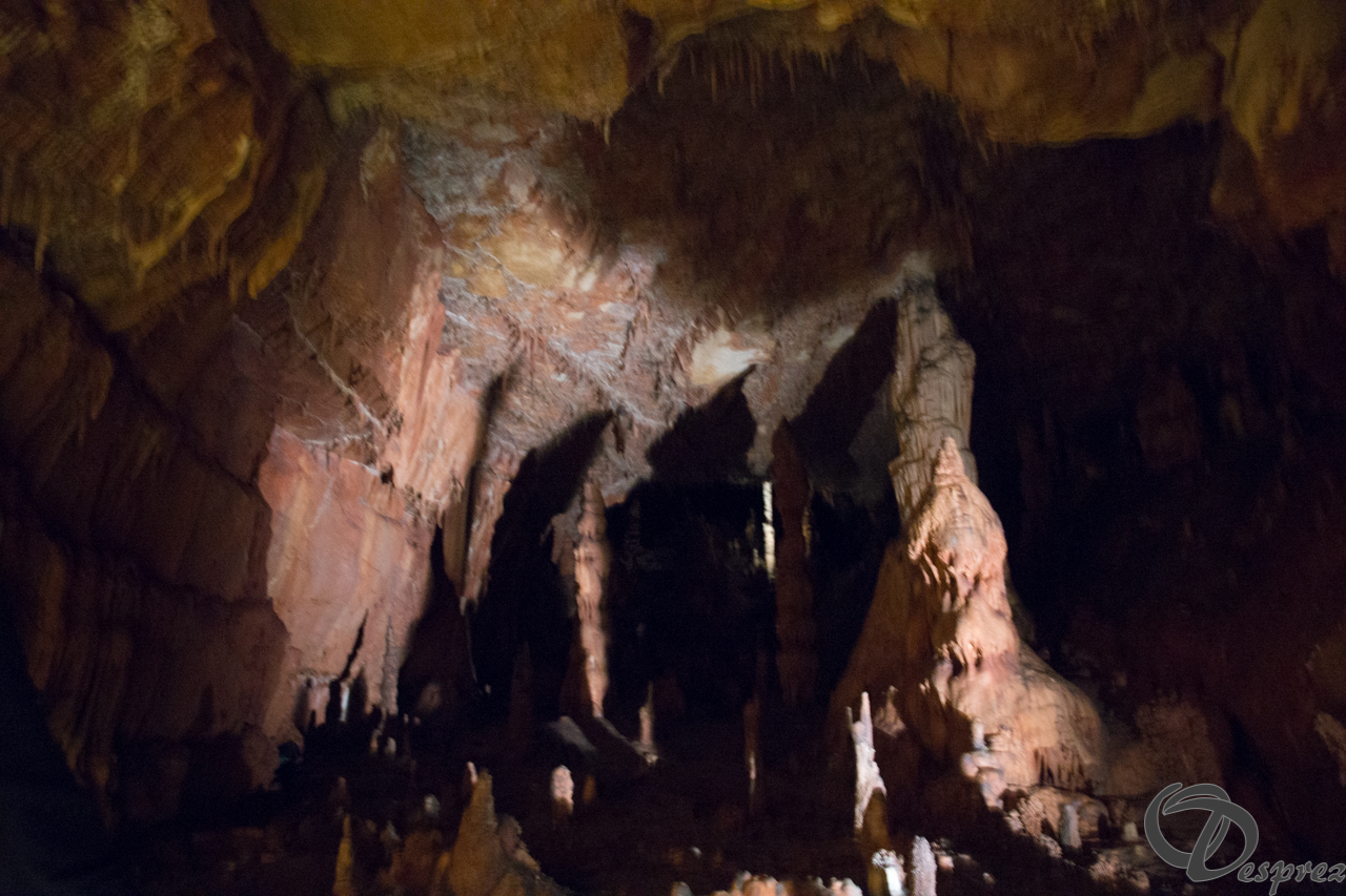 2021-août-12-DSC09022