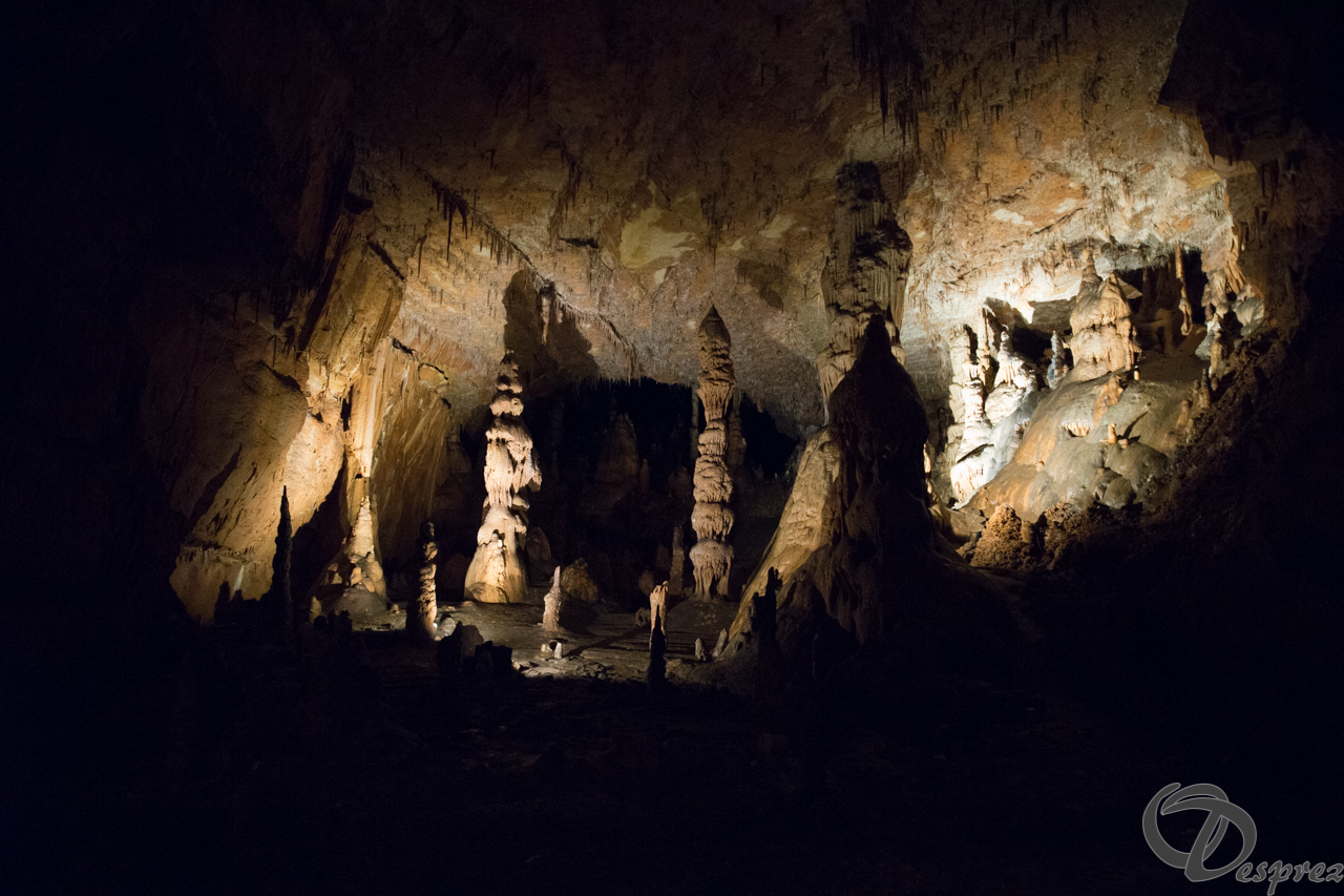 2021-août-12-DSC09023