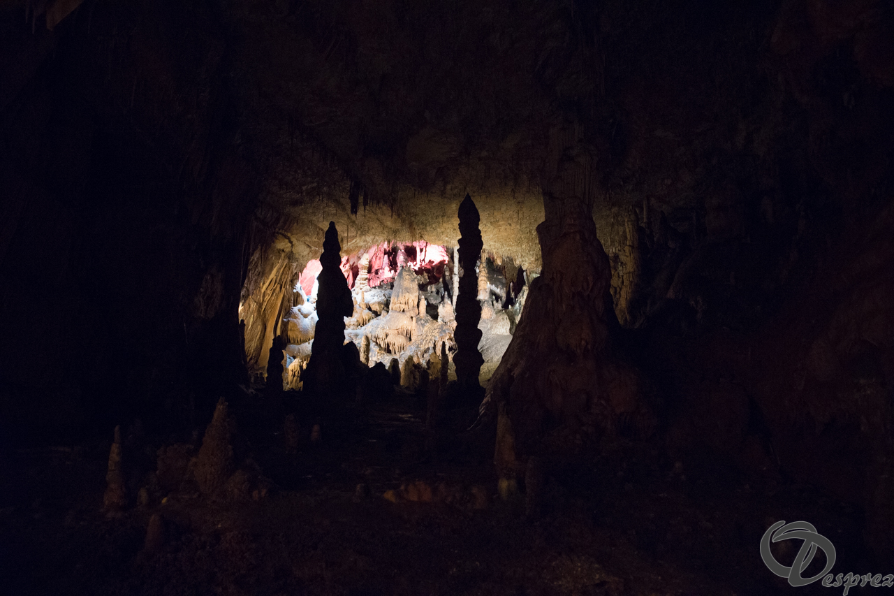 2021-août-12-DSC09024