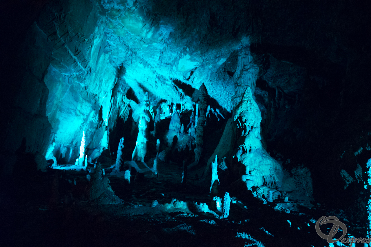 2021-août-12-DSC09026