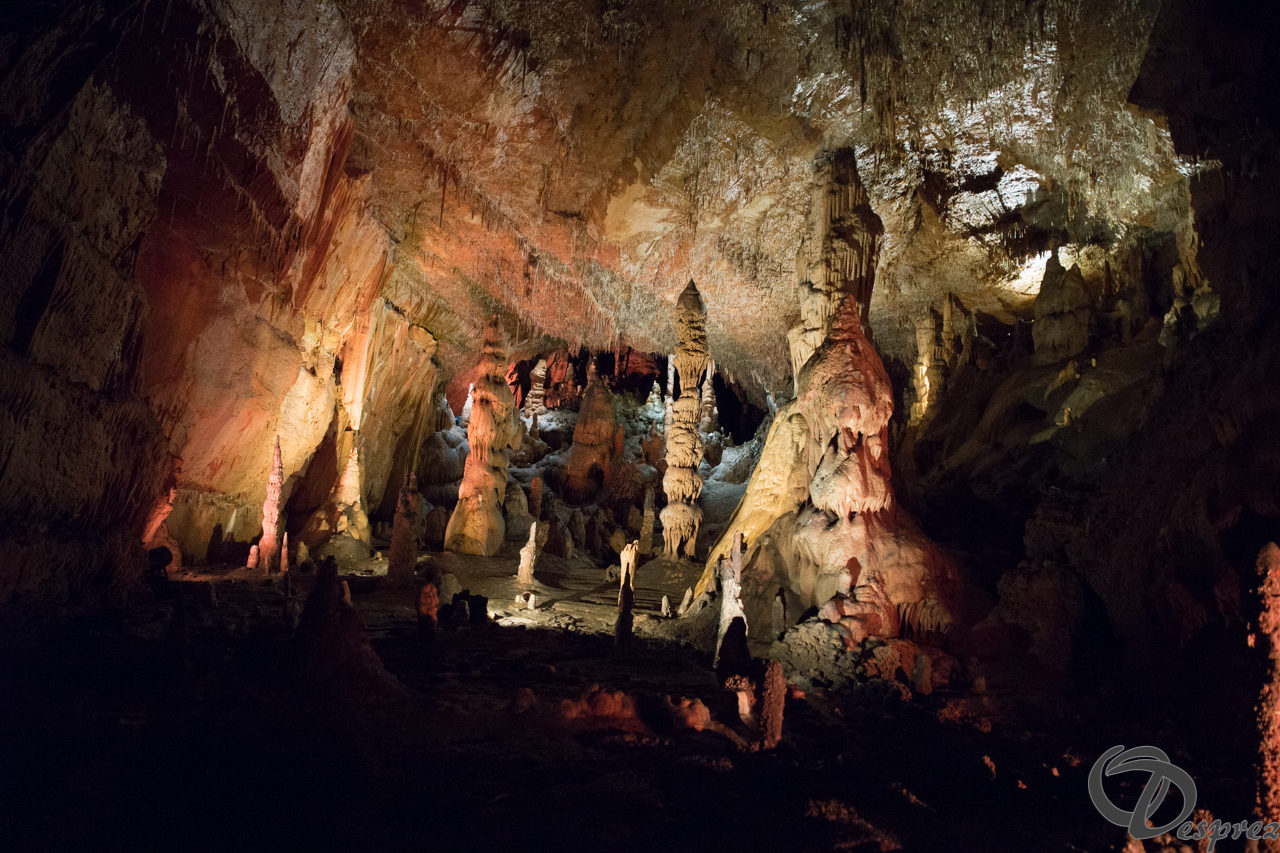 2021-août-12-DSC09028