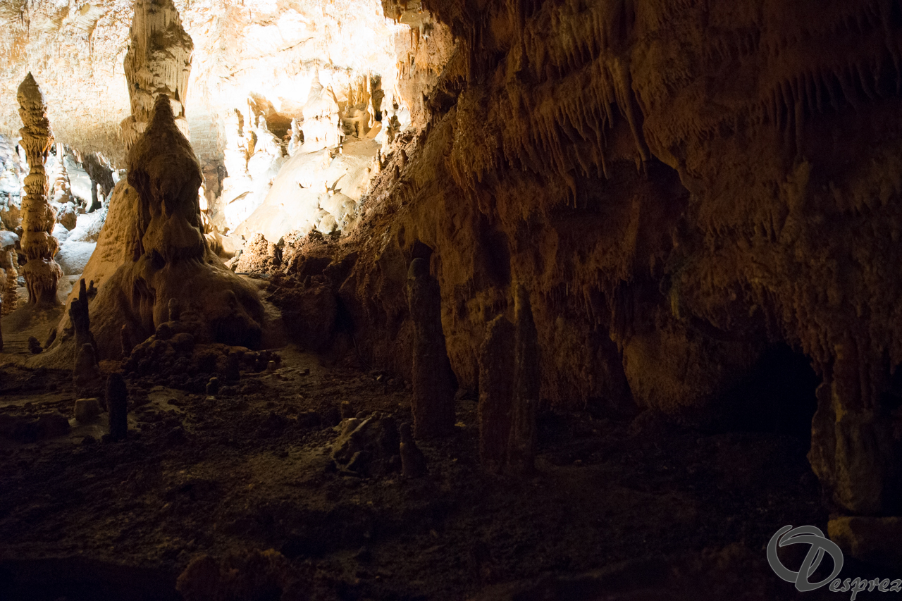 2021-août-12-DSC09030