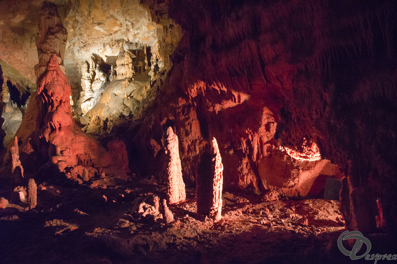 2021-août-12-DSC09031