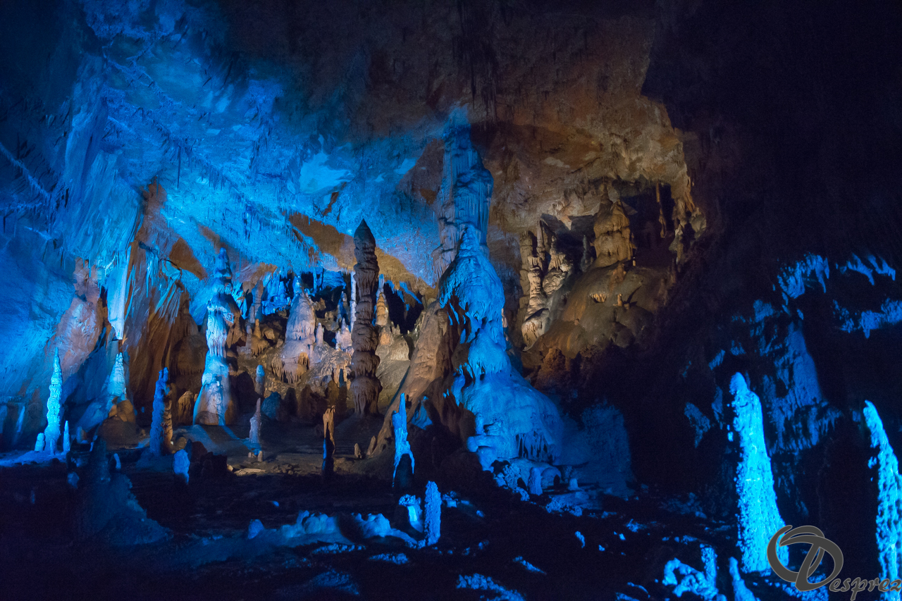 2021-août-12-DSC09032