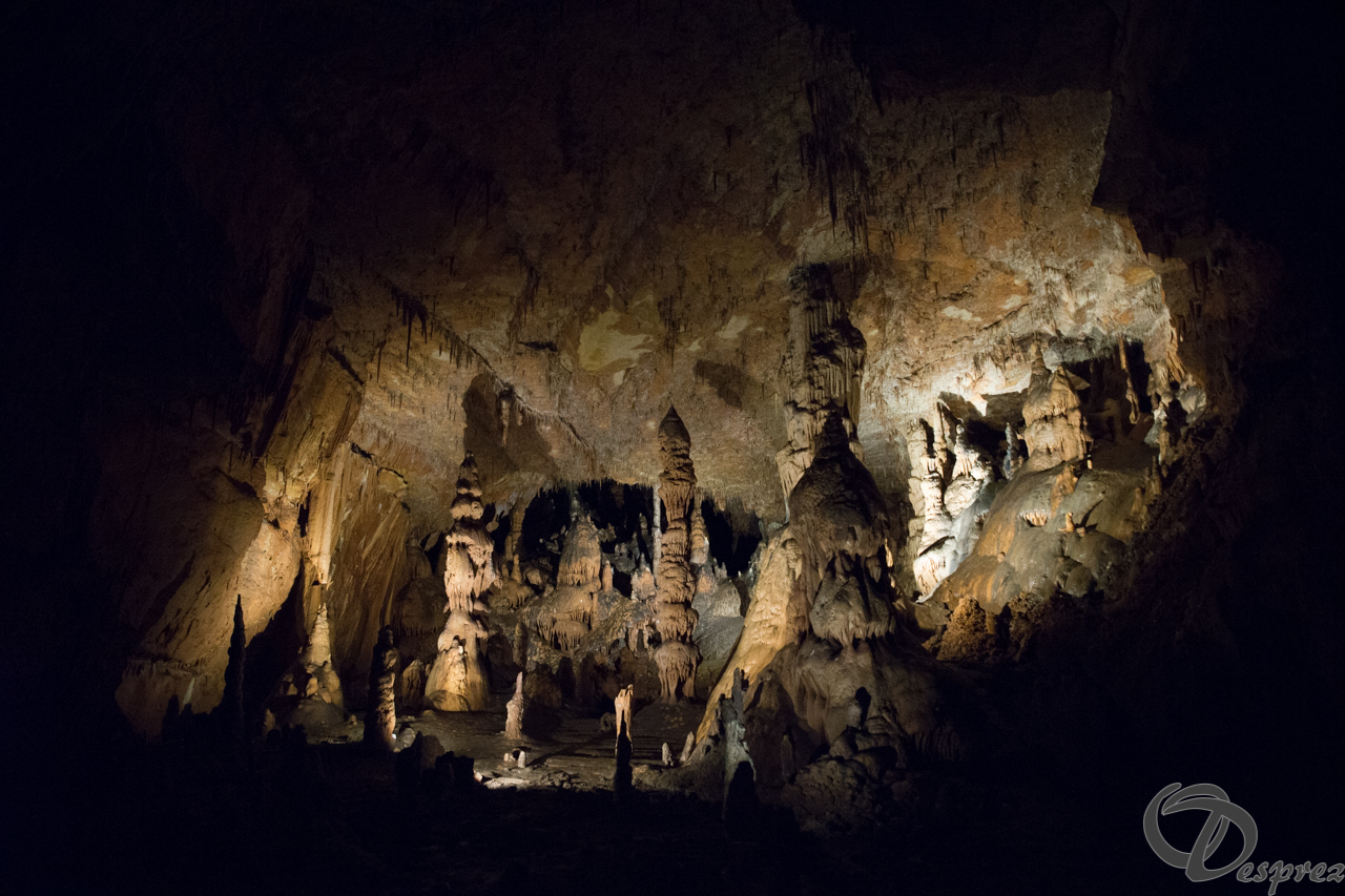 2021-août-12-DSC09033