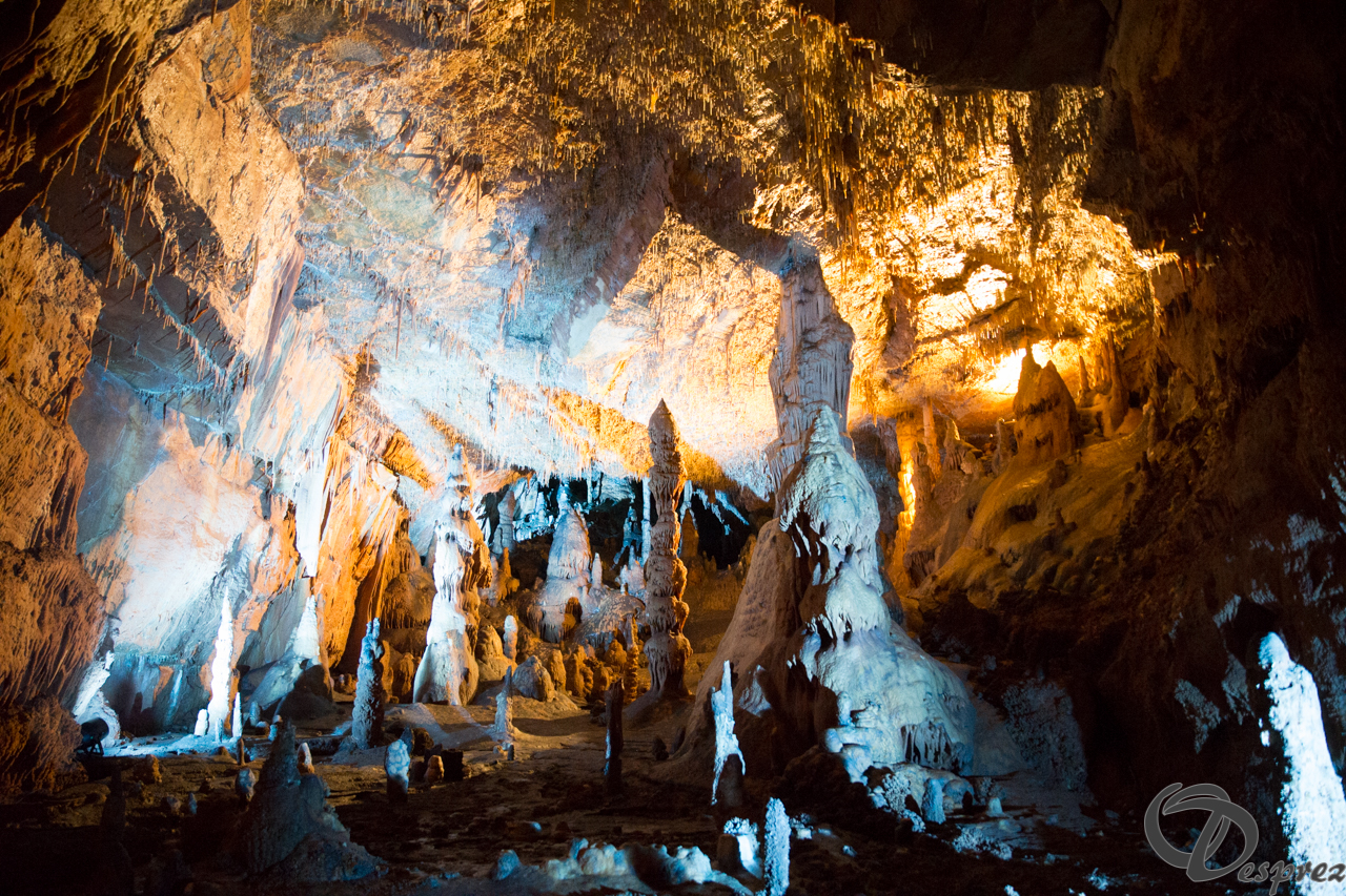 2021-août-12-DSC09034