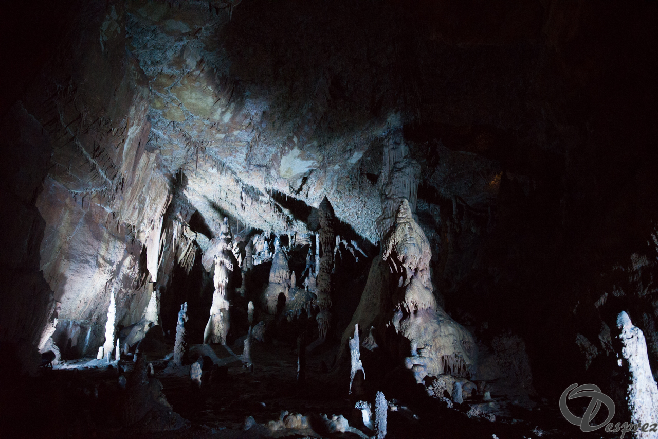 2021-août-12-DSC09035