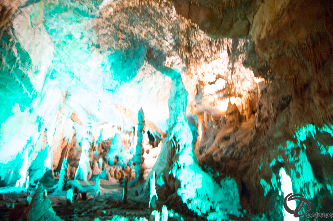 2021-août-12-DSC09036