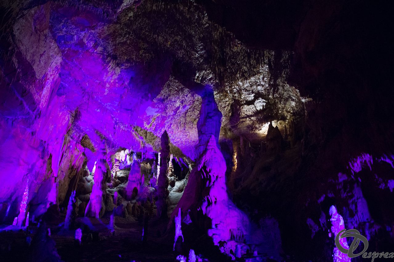 2021-août-12-DSC09037