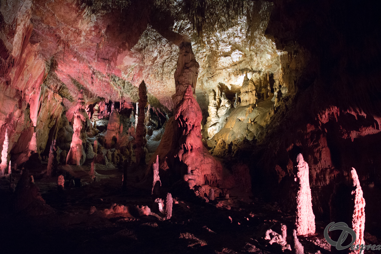 2021-août-12-DSC09039