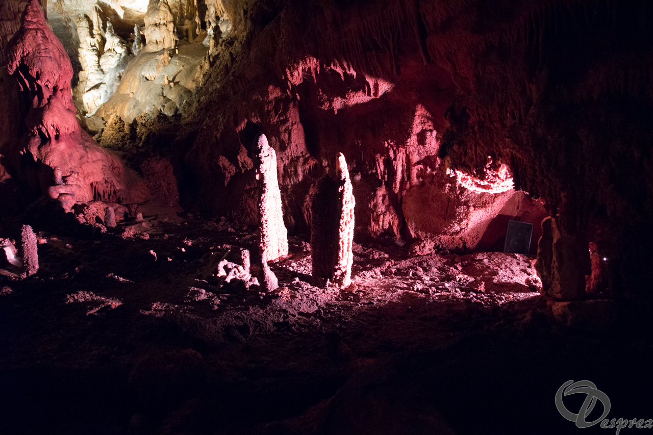 2021-août-12-DSC09040