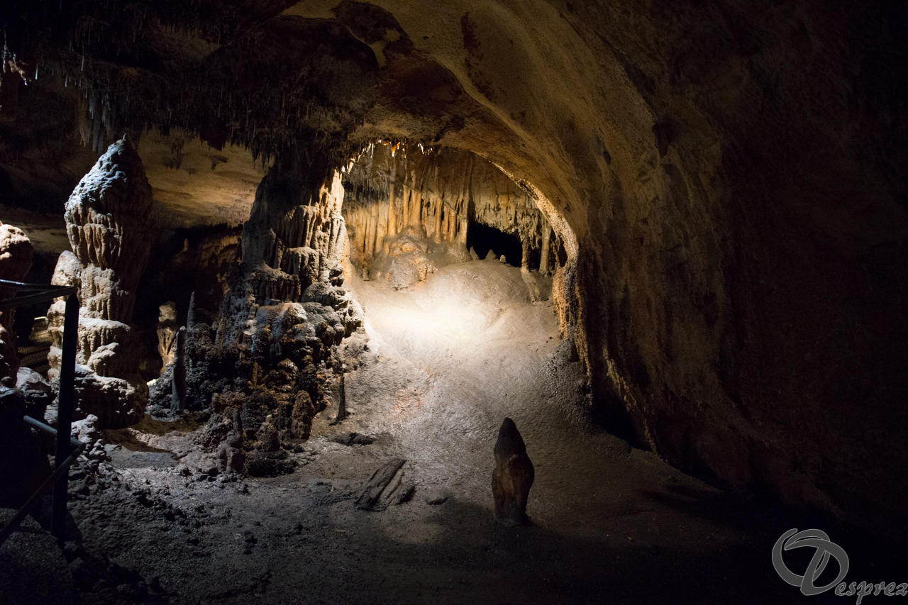 2021-août-12-DSC09047