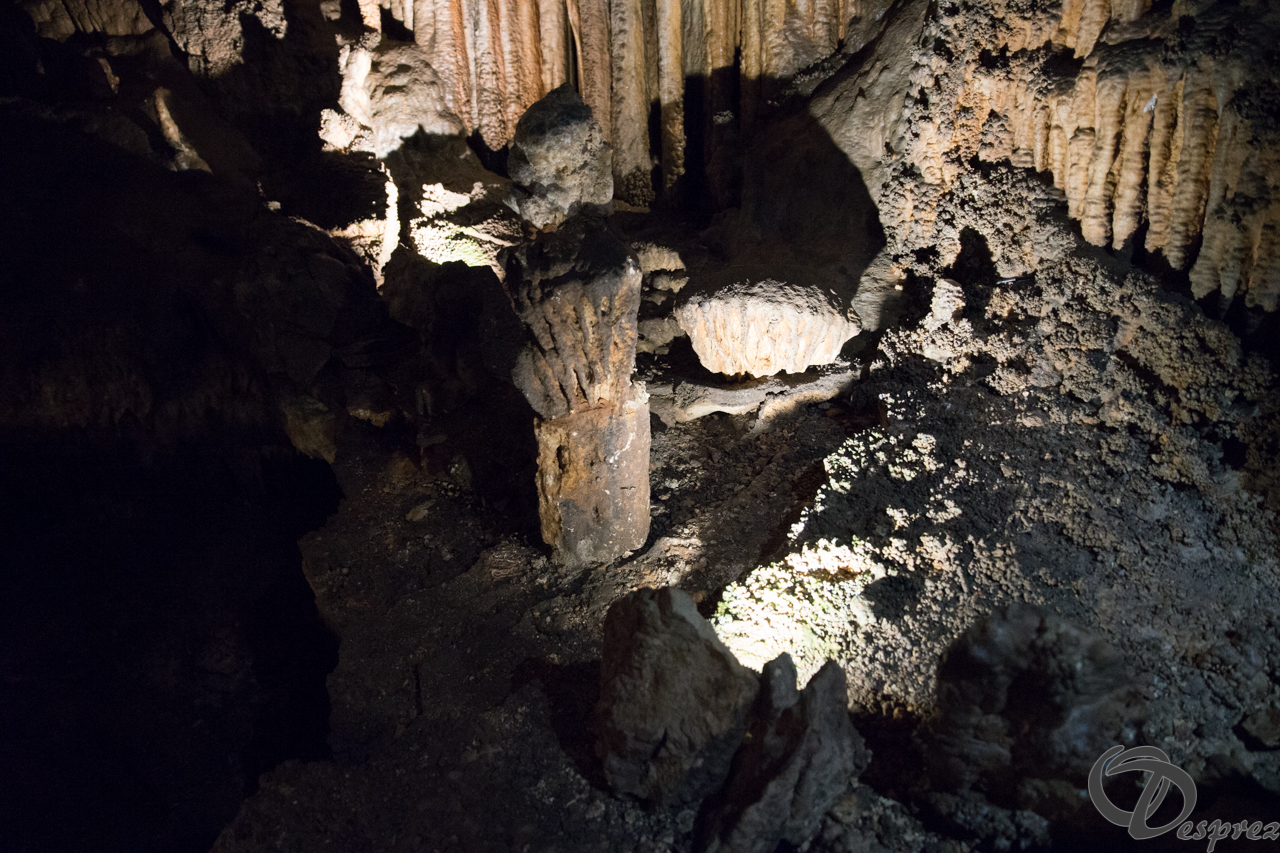 2021-août-12-DSC09048