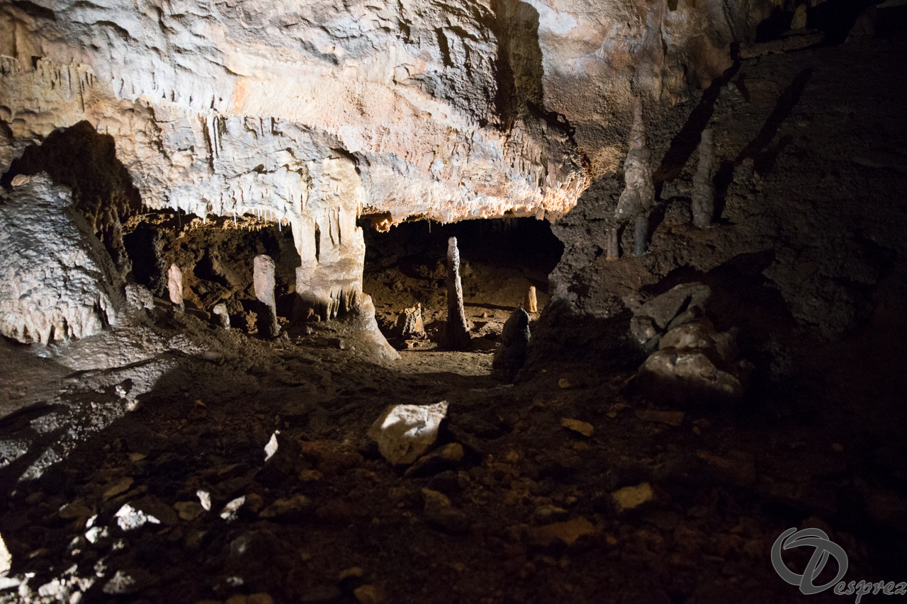 2021-août-12-DSC09049