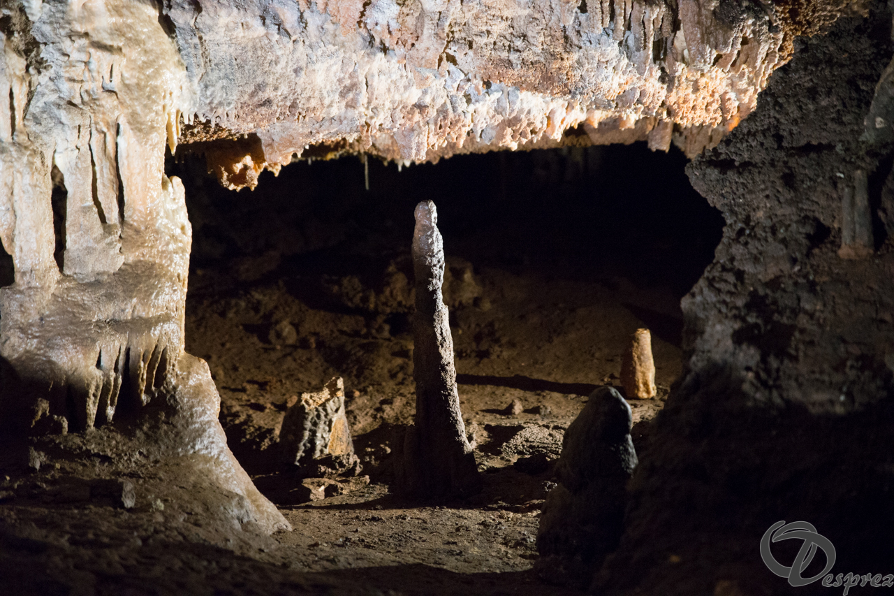 2021-août-12-DSC09051