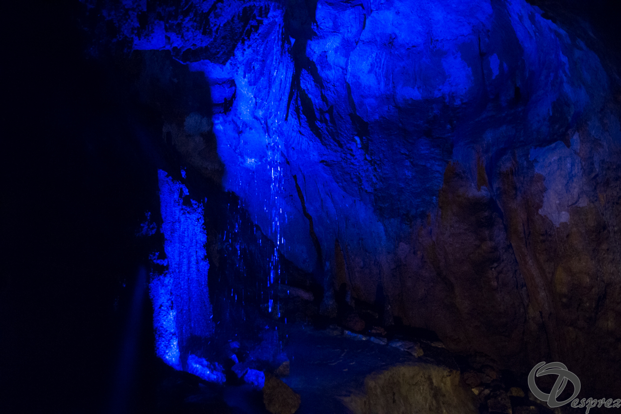 2021-août-12-DSC09053