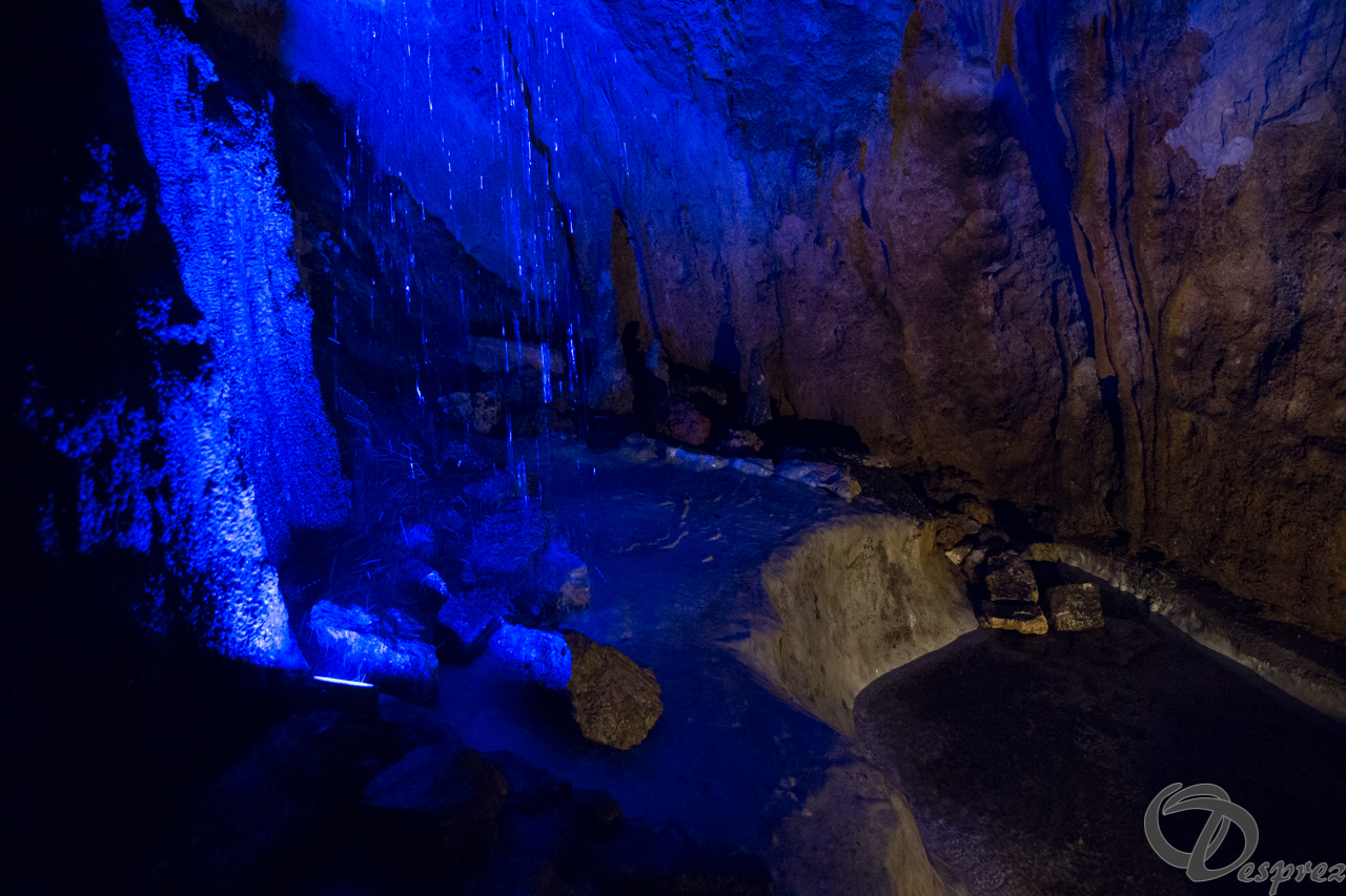 2021-août-12-DSC09055