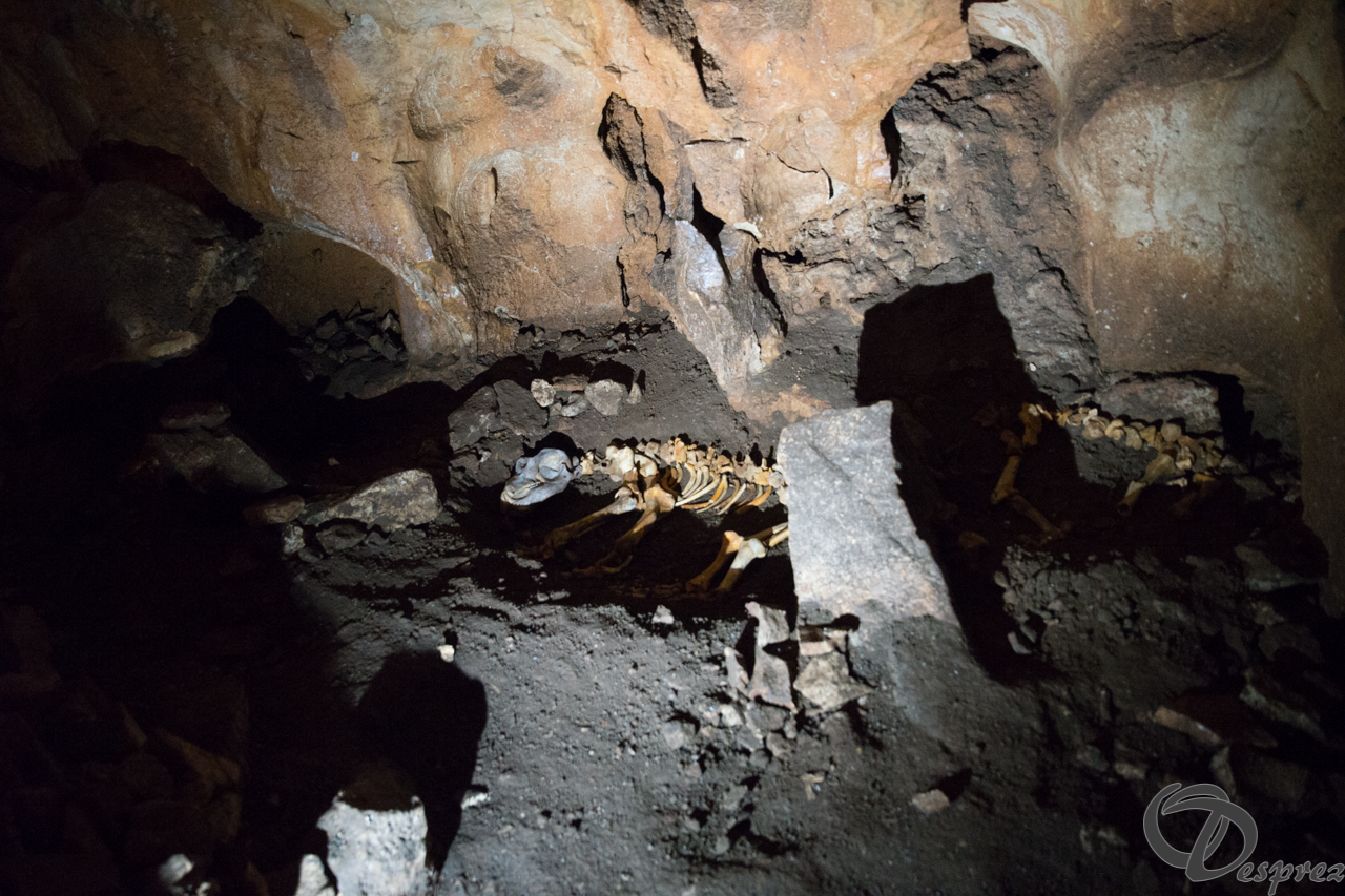 2021-août-12-DSC09057