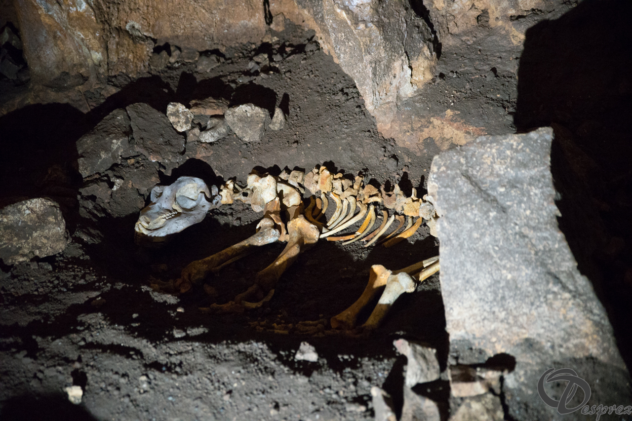 2021-août-12-DSC09058