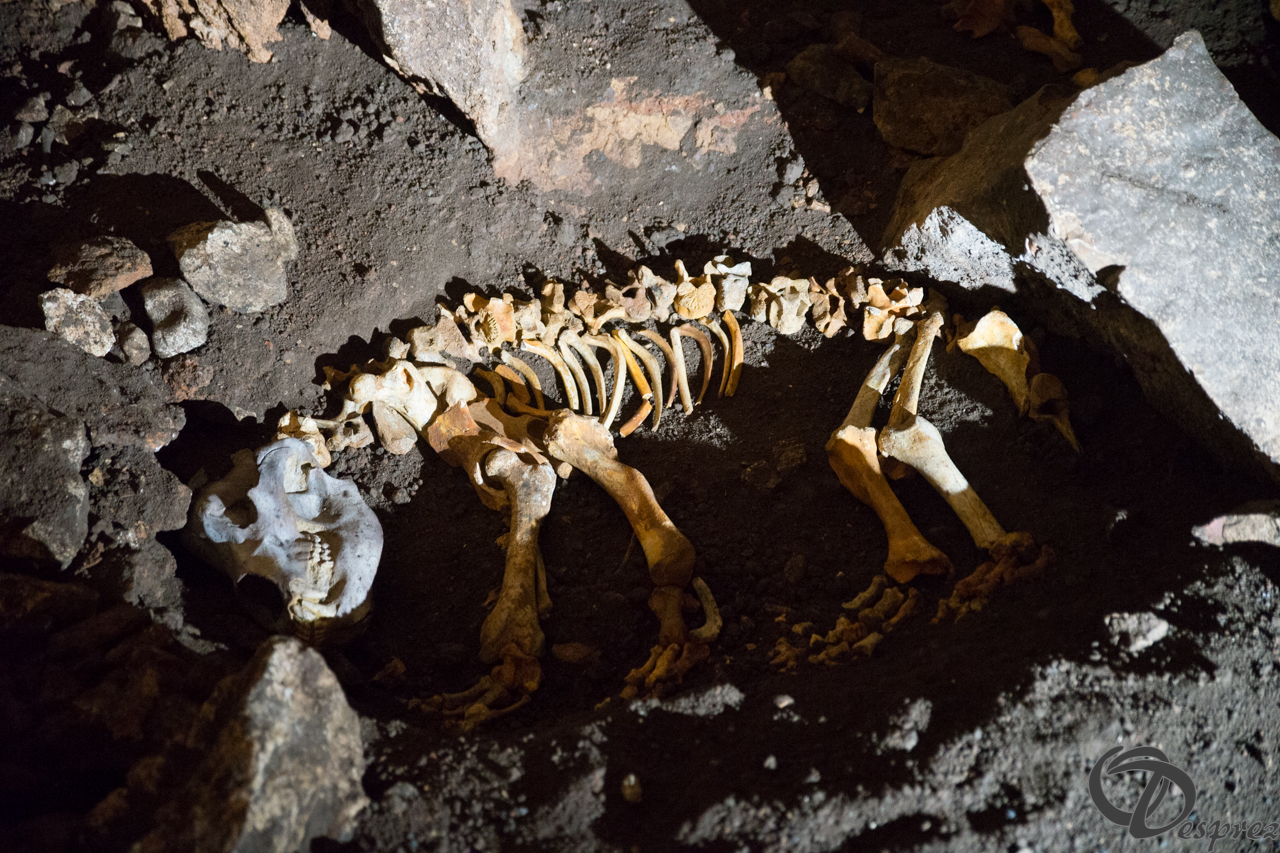 2021-août-12-DSC09060